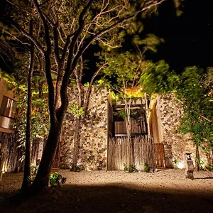 Calma Jungle Villas Tulum